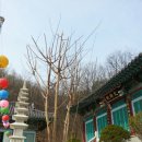 포승농장 이미지