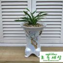 대국상사