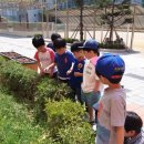 청곡초등학교(병설) 이미지