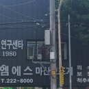 산호동197 이미지