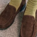 어리염소 이미지