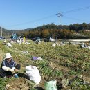 파지리경로당 연합뉴스
