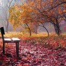 최*옥 - 안양시 만안구 병목안로110번길 | 최*옥