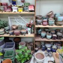 혜인이네꽃가게 이미지