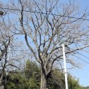 항월마을 이미지