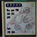 서귀포자연휴양림3 이미지