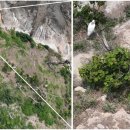 순천만둥지 이미지