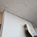 포유 행정사 사무소 이미지