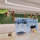 네발로오시개 이미지