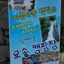 묘솔 이미지