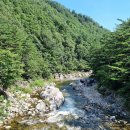 법수치통나무산장 | 오늘(7월 29일)의 추천 여행지(550) - 양양 어성전 법수치계곡 - 사람을 살리는 편안하고 즐거운 휴양 계곡