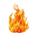 4739 | 수원역 마장동 김씨 | 추천 단체모임 및 회식하기 좋은 수원 삼겹살 맛집 내돈내산 솔직 후기