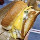 에그 셀런트 이미지