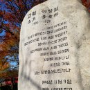 대구정체성투어 2017 C코스