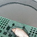 배내미낚시터 이미지