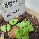 신시와커뮤니티협동조합 | 바쁜 일상 속 나를 위한 소셜링, 마음 협동조합