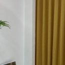 뭉구르밍 이미지