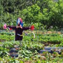 도영 농장 이미지