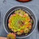 망상해오름가족호텔 이미지