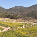 남해-137 | 남해 여행 유채꽃 맛집 파라다랑스 대만족후기