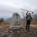 광덕산(240218. 일)(충남 천안.아산) - 우람한 호두나무와 느티나무 이미지