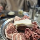 유안탐돈