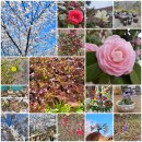 사회복지법인보현행원 노인요양원 이미지