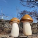 내성천 생활체육공원 이미지