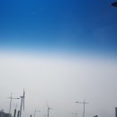 칠산바다젓갈