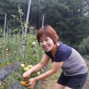 쭌농장 Daum카페