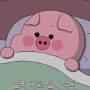 동대문수궁