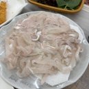 강동참가자미 이미지