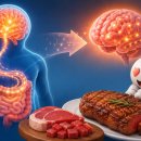 단백질 부족하면 왜 고기가 당길까… IBS, 장-뇌 회로 원리 규명 이미지