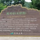 빨간집민박 이미지