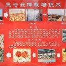 삼칠농장 이미지