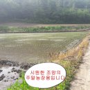 새실농장 이미지