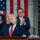 한국디지털수출나라 주식회사 이미지