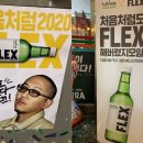 더플렉스(The Flex) 네이버블로그