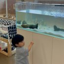 랜드파크 | 아기랑 카페 | 동물,썰매,놀이기구,수영장등 모든 게 다 가능한 3층 키즈카페 익산킹더랜드키즈파크