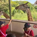 또바트유치원 | 2~6세, 이 시기가 평생 학습을 결정합니다 ; XCL ASB 수쿰빗 유치원 완전 정리