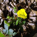 재실농장 이미지