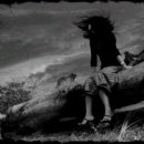 샤방 샤방 이미지