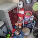 전라남도 무안군청 | 무안 세트장폐기물 버려주는 업체 빈집 망가진 정리 폐기물 대신수거해주는 무안군 운남