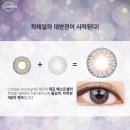 베스트안경 & 렌즈미 네이버블로그