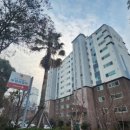 흑룡치과의원 이미지