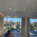 아기강아지 | 강릉 애견동반 숙소 추천, 퍼피 애견 풀빌라 201호 후기 | 아기·강아지 함께한 가족여행