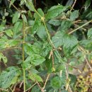 구평동-14 이미지