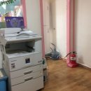 사르넬리 이미지