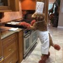 댕댕셰프 이미지