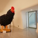 도안칼국수 이미지